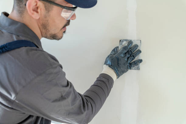 Best Emergency Mold Remediation  in Skidmore, TX