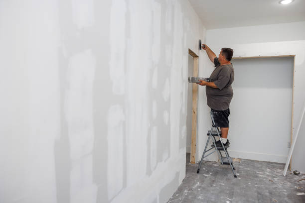 Best Mold Odor Removal Services  in Skidmore, TX