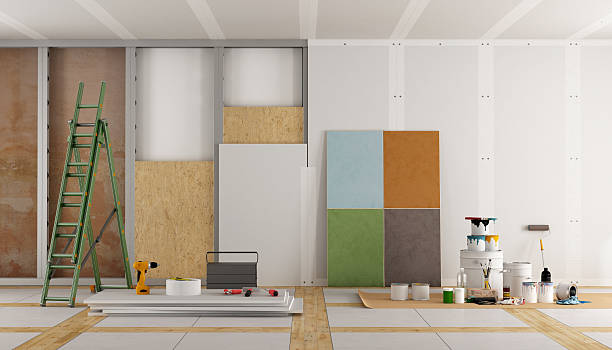 Best Basement Mold Removal  in Skidmore, TX